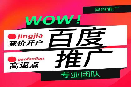 SEM广告案例：数据分析驱动营销决策